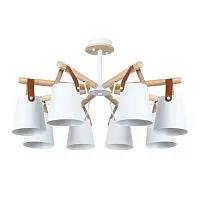 Потолочная люстра Arte Lamp Thomas A7032PL-8WH 